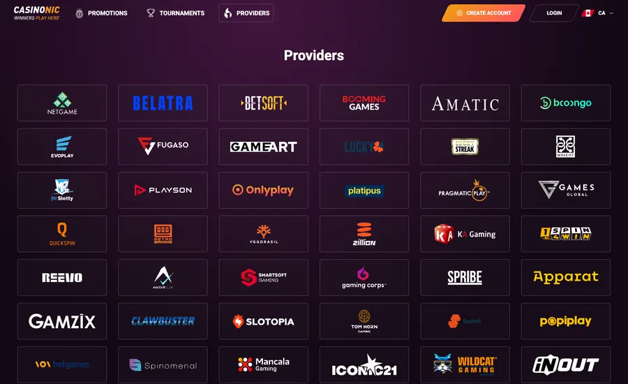 The Casinonic Providers page: a heading and nothing beneath it